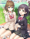 フルキス